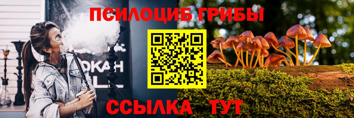 Выкса  Галлюциногенные грибы GOLDEN TEACHER  Вход с VPN 